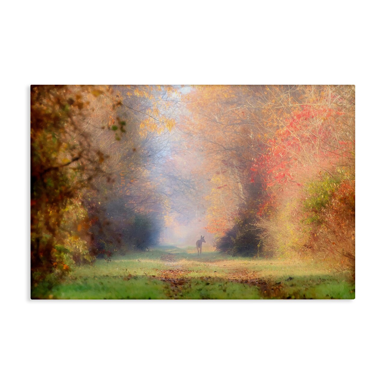 Stupell Industries Foggy Autumnal Forest Canvas Wall Art Design by Carrie Ann Grippo-Pike